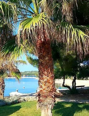 Konukevi Zoralis A