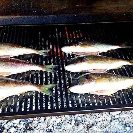Zoralis A Konukevi